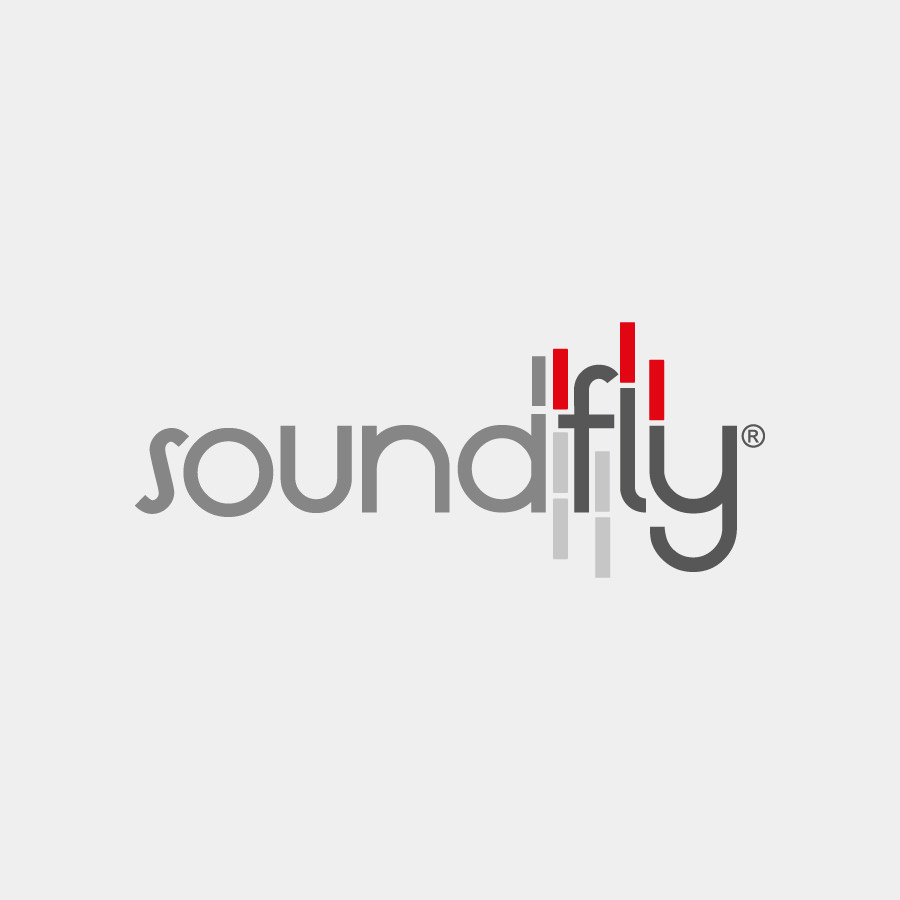 SOundFly Store website